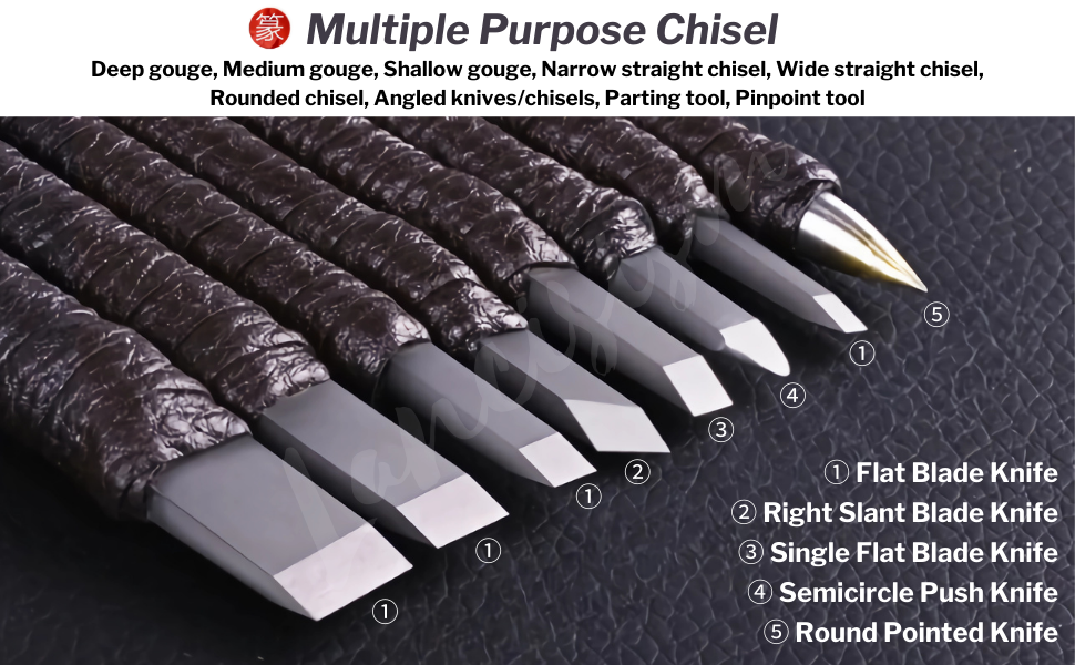 Stone Carving Tool Set of 10, Lancisism Tungsten Steel