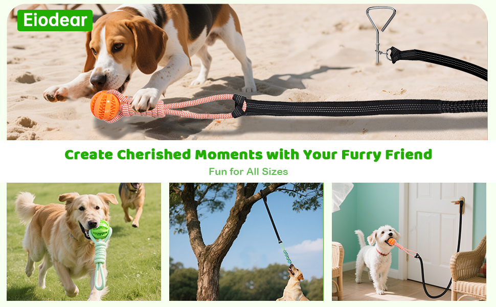 Tether Tug Outdoor Dog Toy