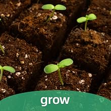 Grow Seedlings