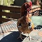 Small manufacture image 9