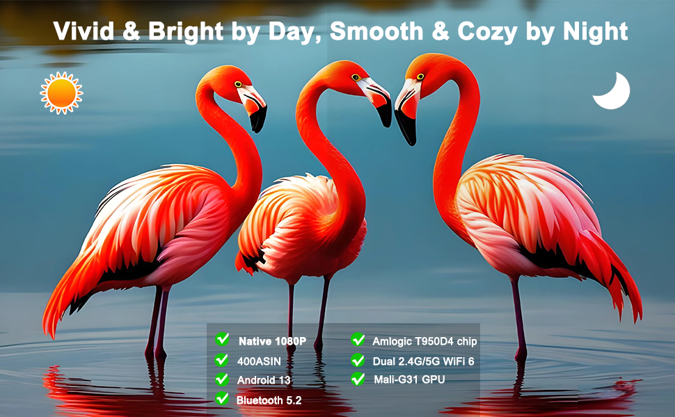 1080P, 400 Asins, high quality chips for Vivid and Bright by Day, Smooth and Cozy by Night