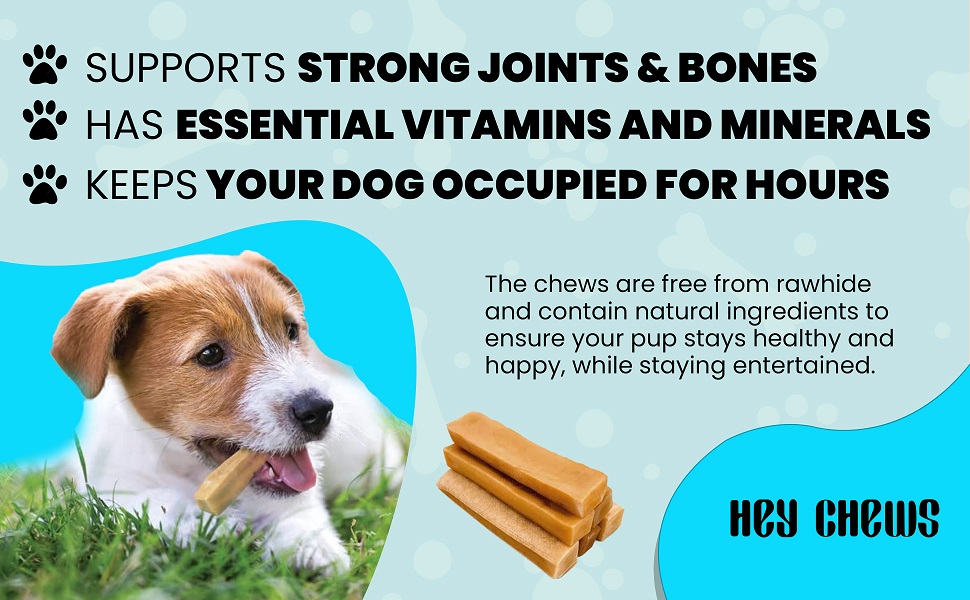 HeyChews Himalayan Yak Cheese Dog Chews Large Yak Chews