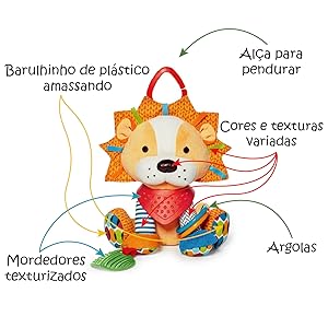 Setas apontando para as características do leão.