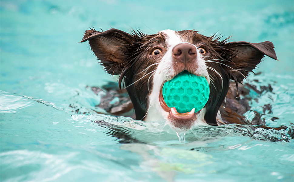 The unique design of this dog enrichment toys allows the dog ball to float on the water