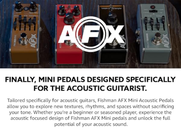 Amazon.com: Fishman AFX AcoustiVerb Reverb Pedal : Musical