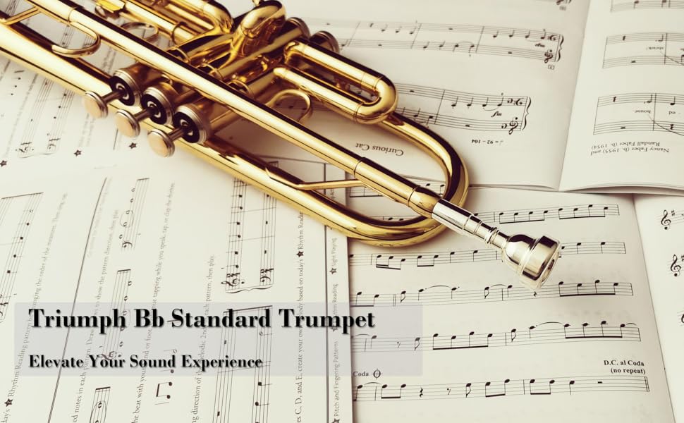 アート・デザイン・音楽 ALL HIT Bb MELODIES FOR TRUMPET....... Concert Bb Blues ~ Trumpet Solo #6 for Young Players - Sheet