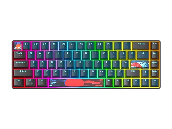 Ussixchare 65 Percent Mechanical Gaming Keyboard 68 Keys RGB