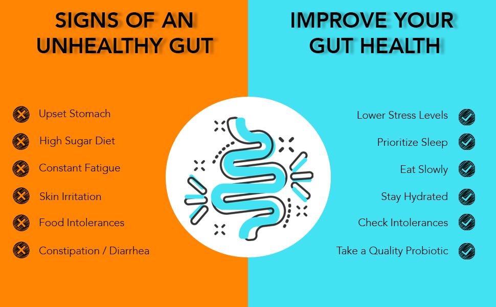 Gut Health