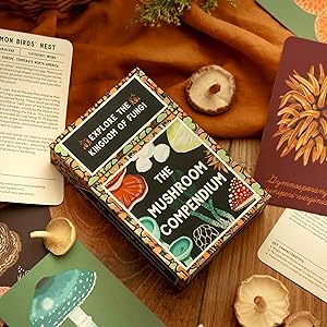 洋書 Mushrooms 71L5NYihVSL._UF1000,1000_QL80_.jpg