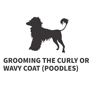 Grooming the curly or wavy coat Poodles