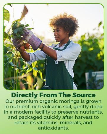 moringa pure