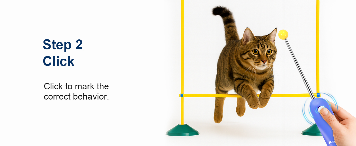 Cat Training Clicker Kit
