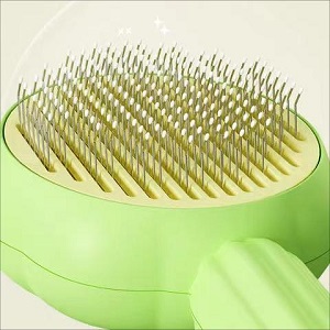 Cat Grooming Brushes