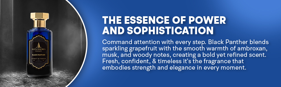 Amazon.com : Alexandria Fragrances Black Panther Perfume