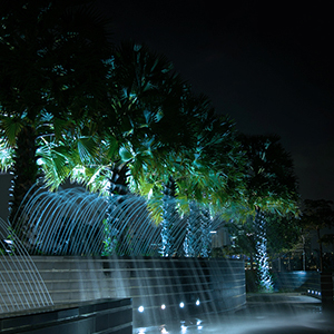 Der nächtliche Garten oder Weg wird mit blaugrünen Lichtern beleuchtet und schafft eine ätherische Atmosphäre mit sichtbaren Pflanzen und architektonischen Elementen.