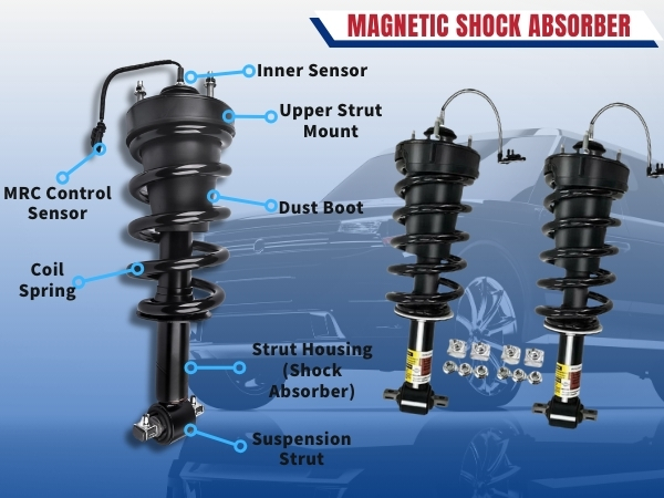 Amazon.com: Rear Shock Absorber Struts Assembly with