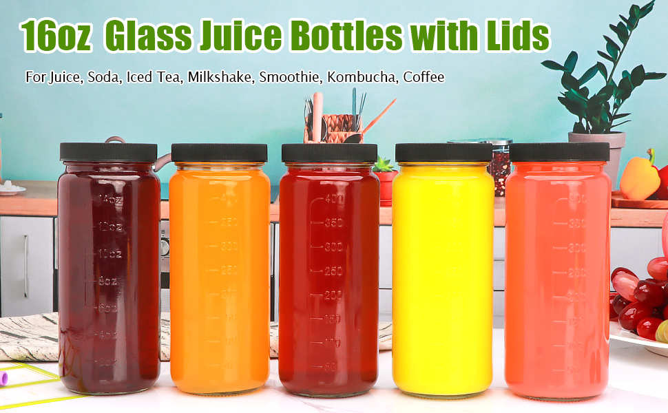 Salzesfalls 16oz Glass Juice Bottles with Lids,Reusable