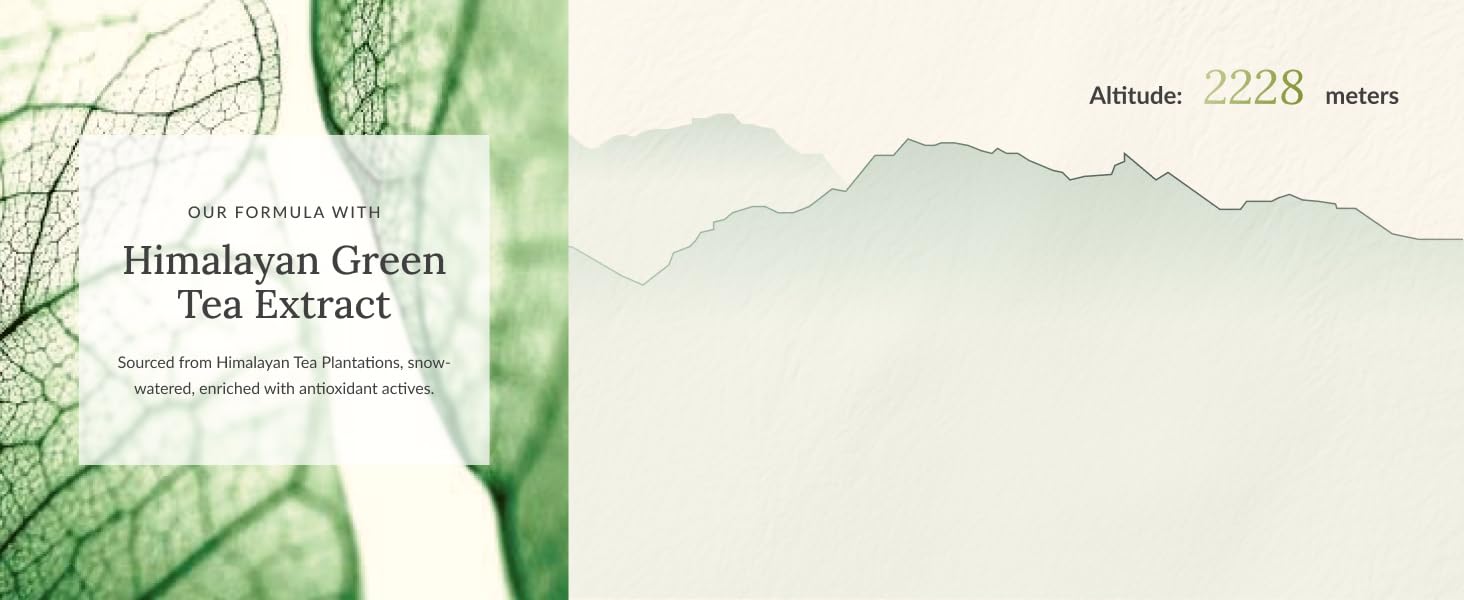 green tea clay purifying mask