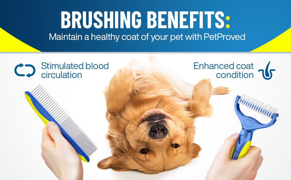 dog brush  dog brushes for grooming  dog accessories