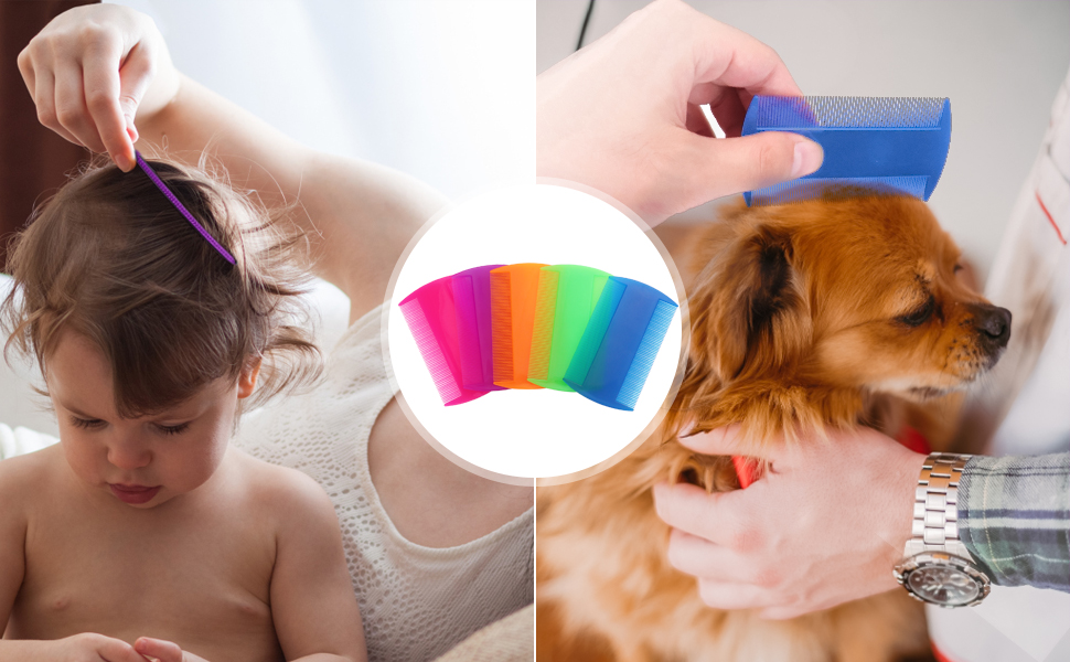 50 Pack Disposable Lice Combs Individually Wrapped