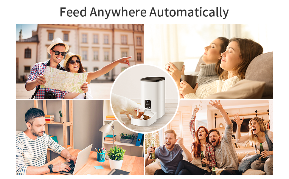 Pet Supplies Automatic Cat Feeder, 6L Portion Control Peteme Smart