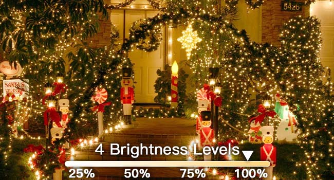 Christmas net lights