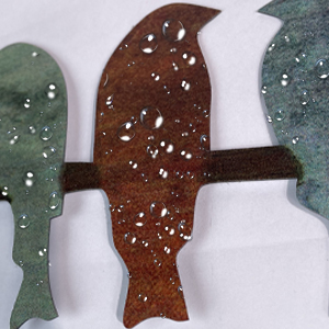 birds wall art