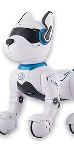 Robotic Canine Companion