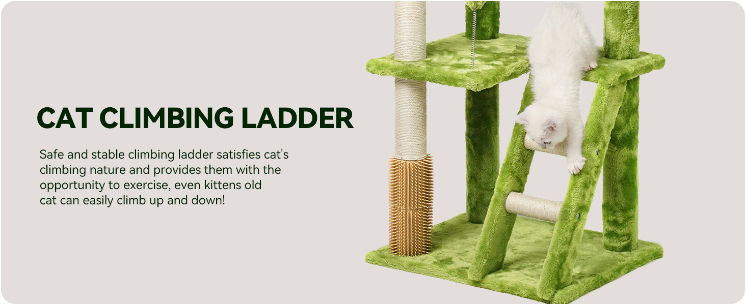 Cat Climbing Ladder