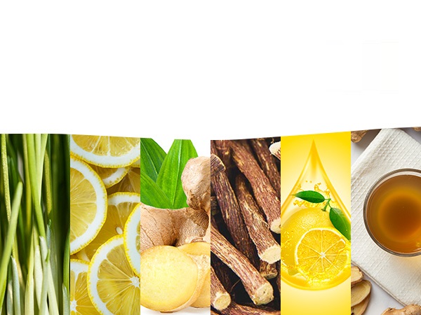 Amazon.com : HANDPICK, Lemon Ginger Herbal Tea - 100 Pyramid