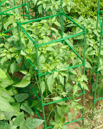 tomato-stakes