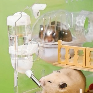 hamster cage