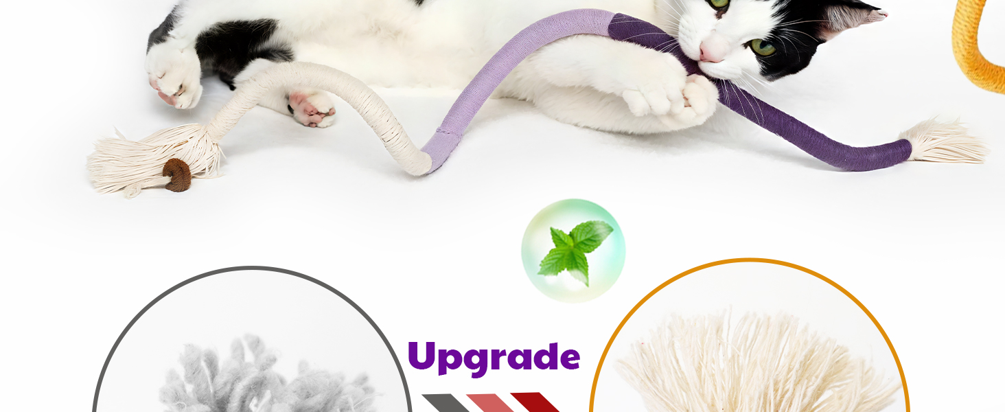 kitten toys for indoor kittens