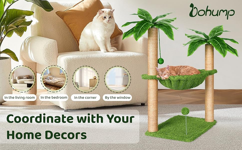 it'scoordinate with your home decors