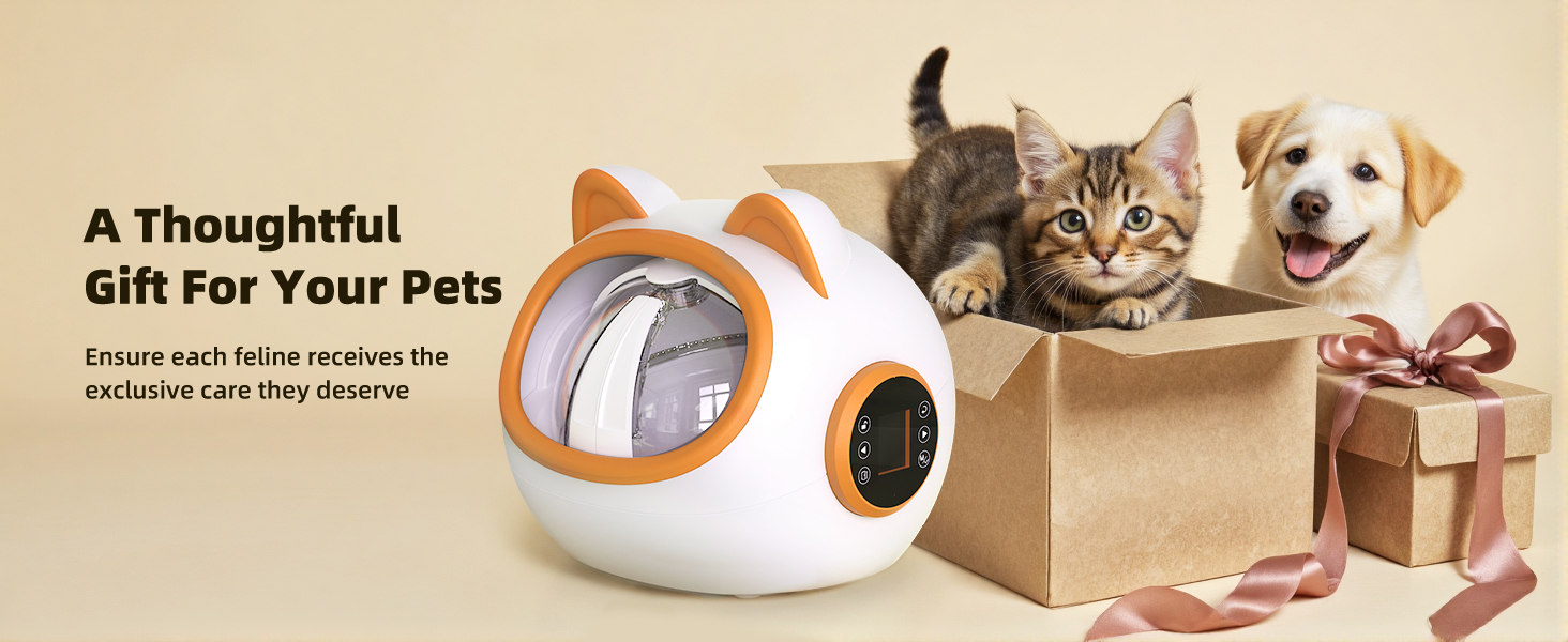 cat feeder with collar sensor