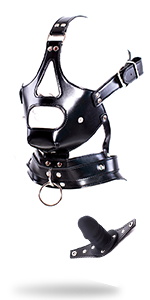 Head Harness with Mouth Gag