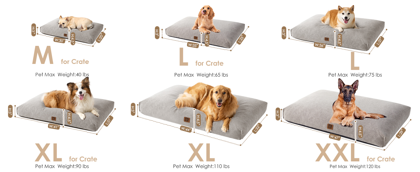 dog bed