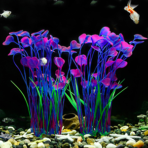aquarium decorations