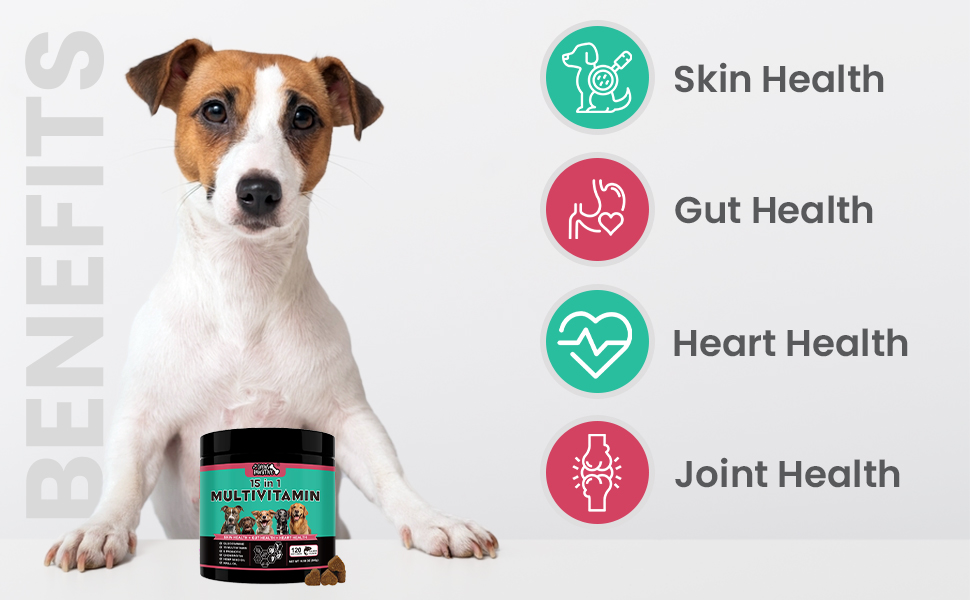 vitaminas para perros dog vitamins and supplements