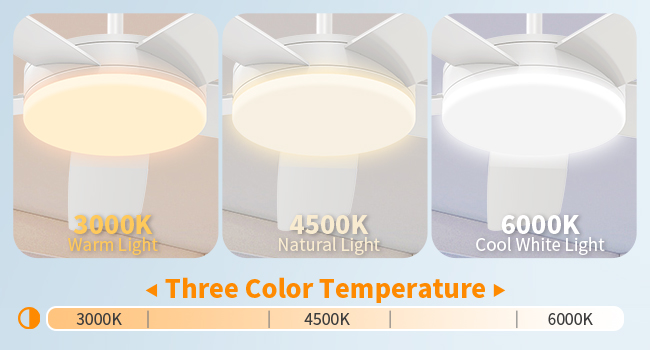 Ceiling Fans with Lights