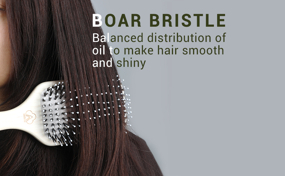 BOAR BRISTLE