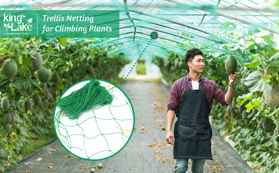 Trellis Netting for Climbing Plants,5.9Ft x 11.8Ft,Heavy