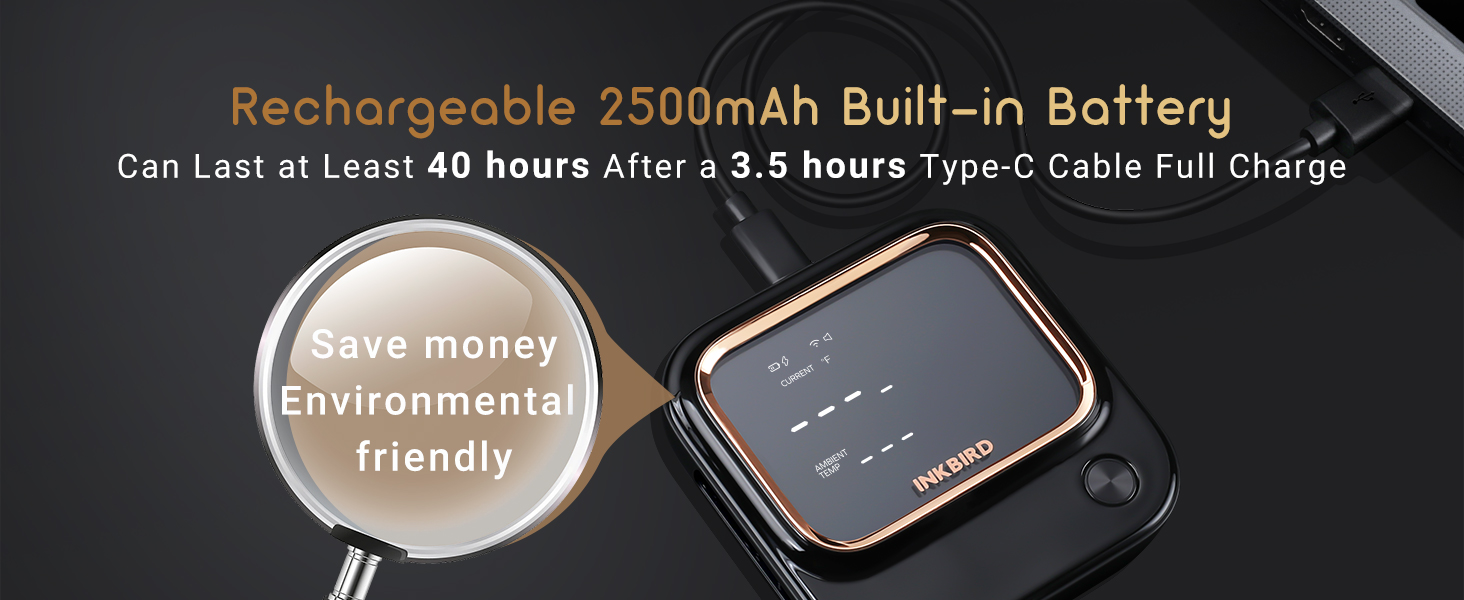 wireless thermometer for grilling