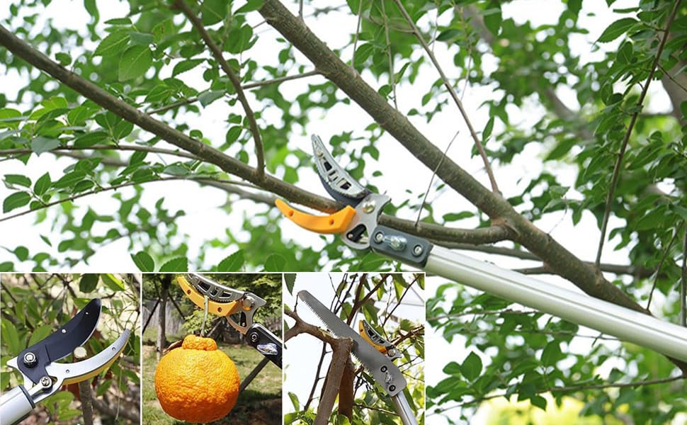 Telescopic Loppers Tree Pruners Pole Saw Extendable