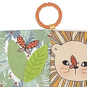 Close up of book features