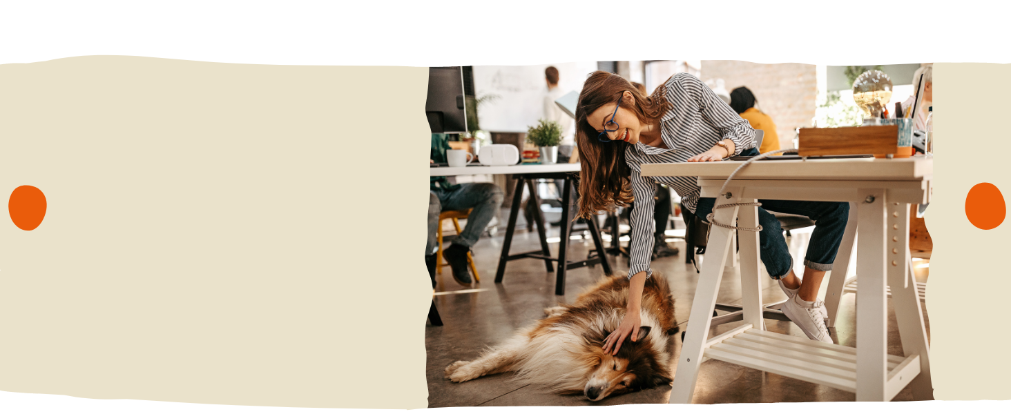 nimo Hunde Pflegestift