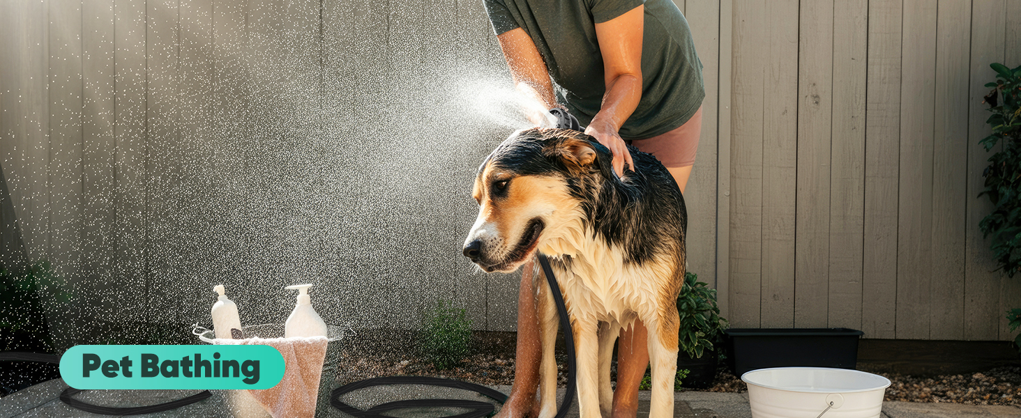 pet bathing