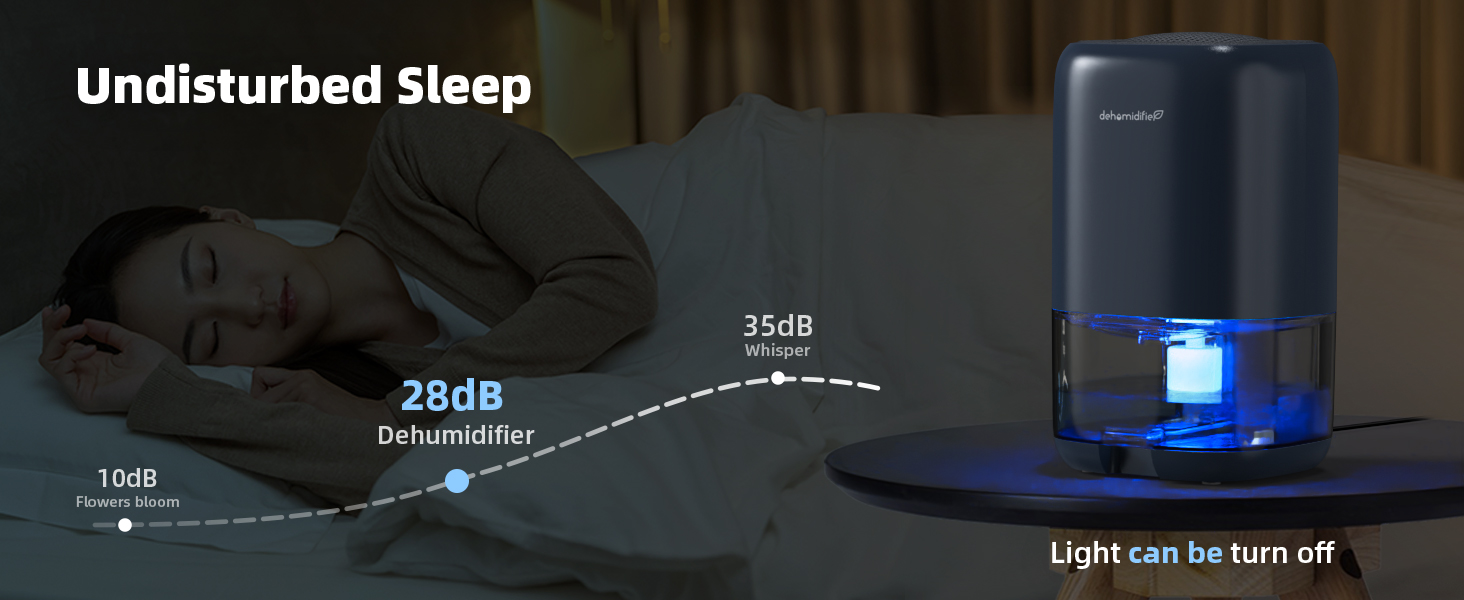 dehumidifiers for bedroom