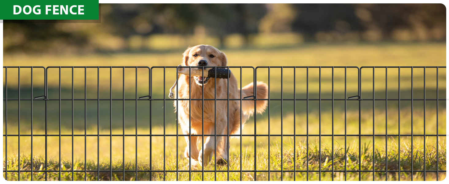 garden fence for dogs