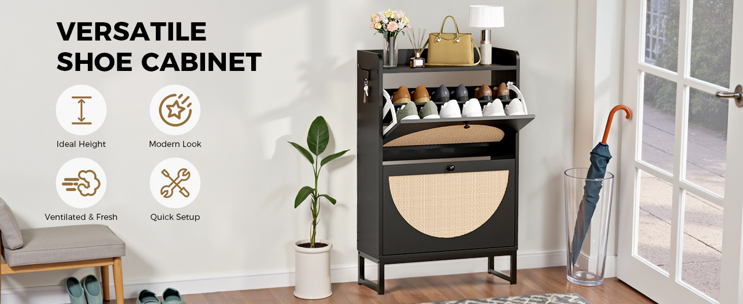 Shoe Storage Cabinet